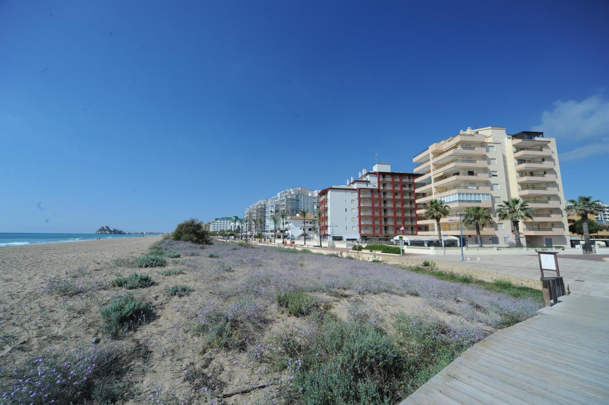 Marina Vistamar Orangecosta Apartment Peñíscola Exterior foto
